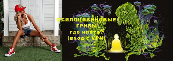 Альфа ПВП Кодинск