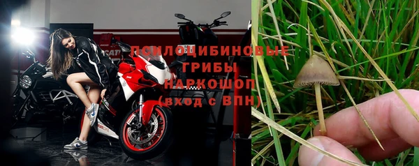 не бодяженный Корсаков