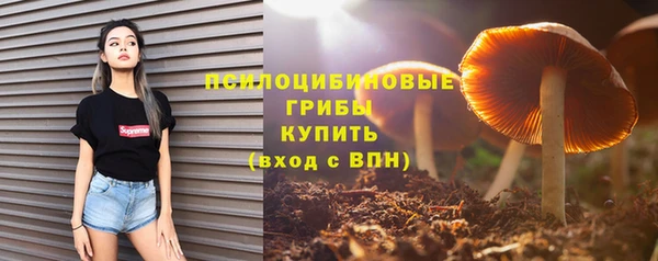 Альфа ПВП Кодинск