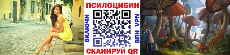 Купить  Новая Ляля  Галлюциногенные грибы Cubensis 